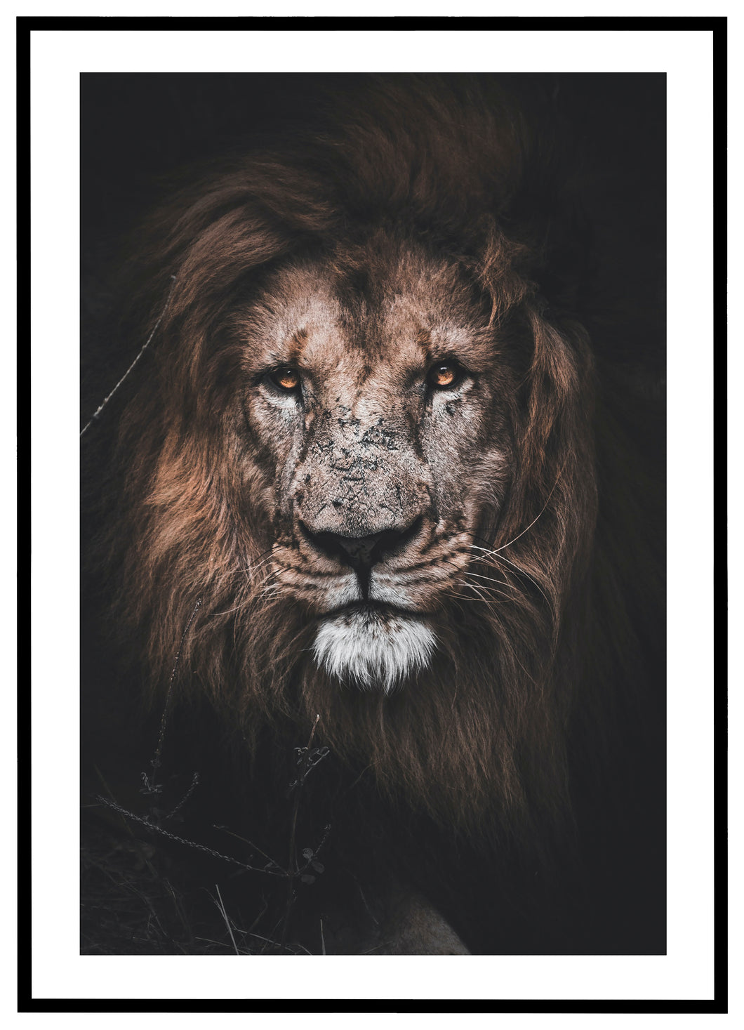 Dyrenes Konge (Løve) - Plakat