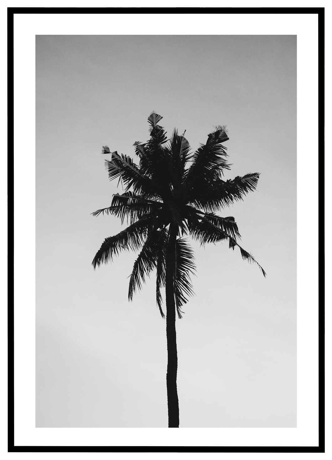 Palmetræ - Plakat