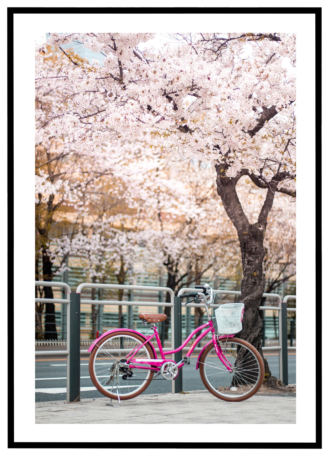 Pink Bike - Plakat