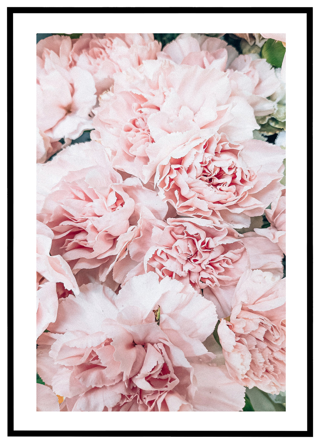 Pinke Blomster - Plakat