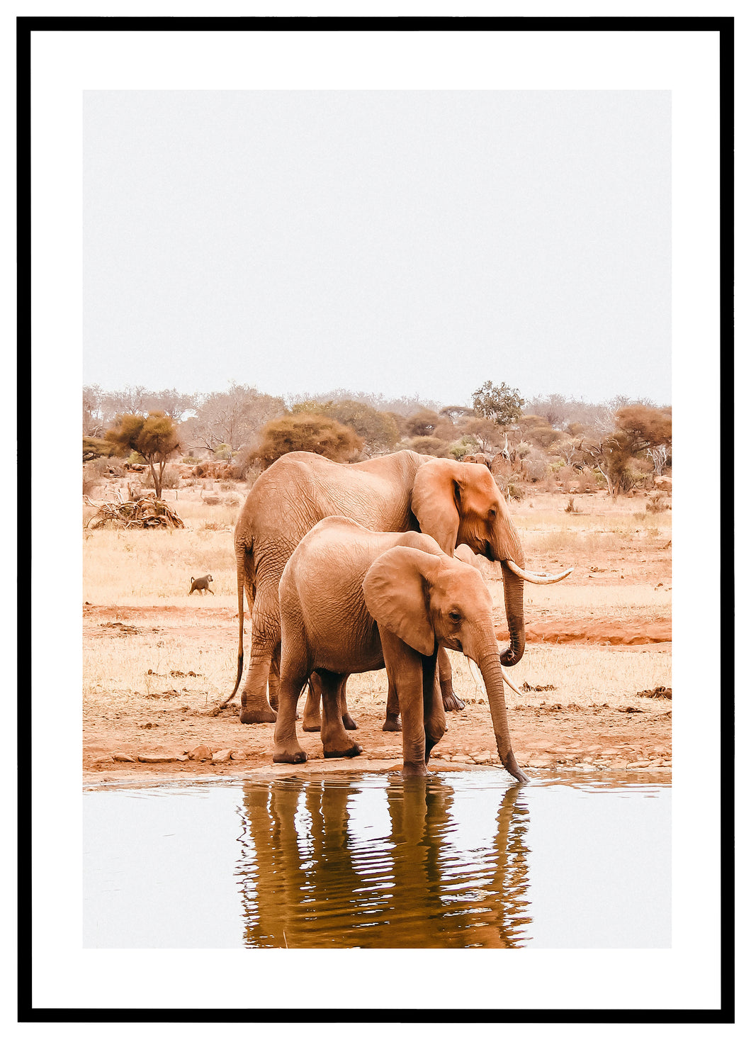 Two Elephants - Plakat